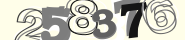 registration captcha